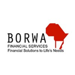 Borwa Financial Services