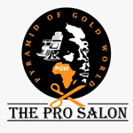 The Pro Salon