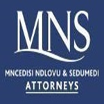 MNS Attorneys