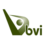 BVi Consulting Engineers