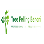 Tree Felling Benoni
