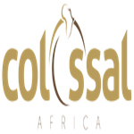 Colossal Africa