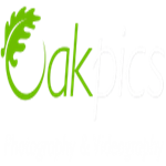 Oakpics Photography and Videography