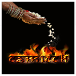 Camtech Pictures